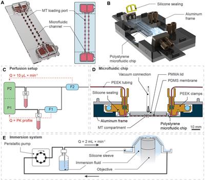 A Microphysiological Cell-Culturing System for Pharmacokinetic Drug Exposure and High-Resolution Imaging of Arrays of 3D Microtissues